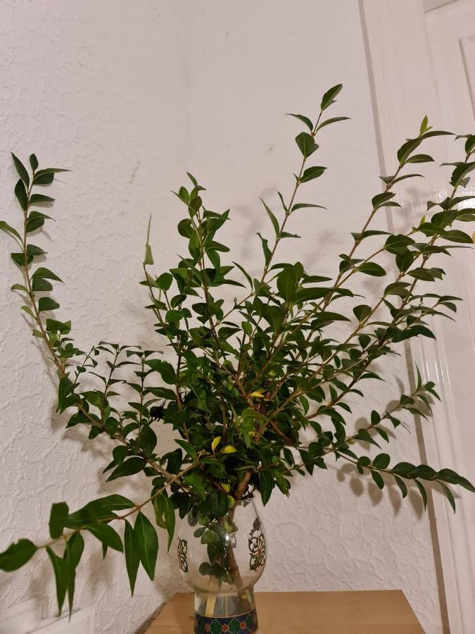Pilrig St Rooms 에든버러 외부 사진